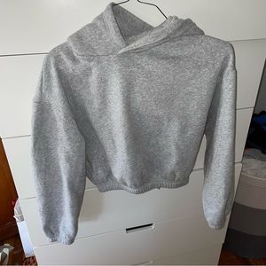 Zara gray cropped sweater